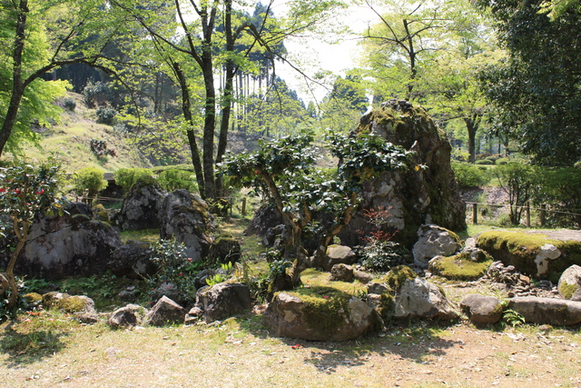 特別名勝・一乗谷朝倉氏庭園・湯殿跡庭園１１の写真の写真
