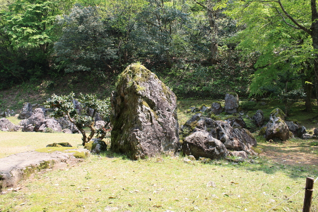 特別名勝・一乗谷朝倉氏庭園・湯殿跡庭園１２の写真の写真