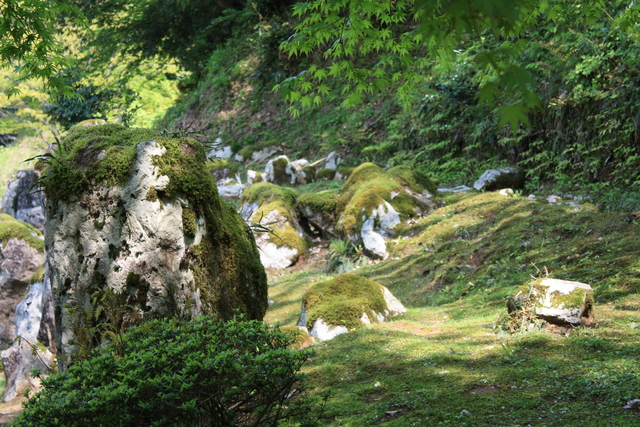 特別名勝・一乗谷朝倉氏庭園・湯殿跡庭園１７の写真の写真