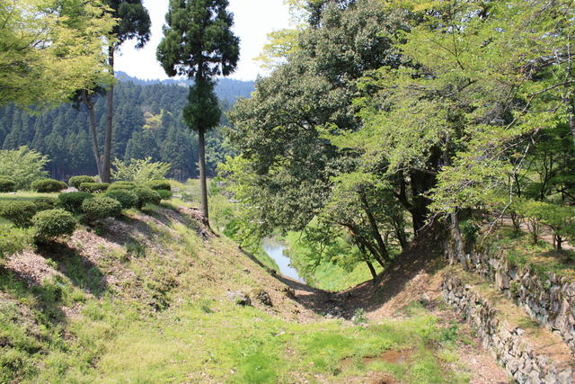 特別史跡・一乗谷朝倉氏遺跡・中の御殿跡と諏訪館跡の間の濠の写真の写真