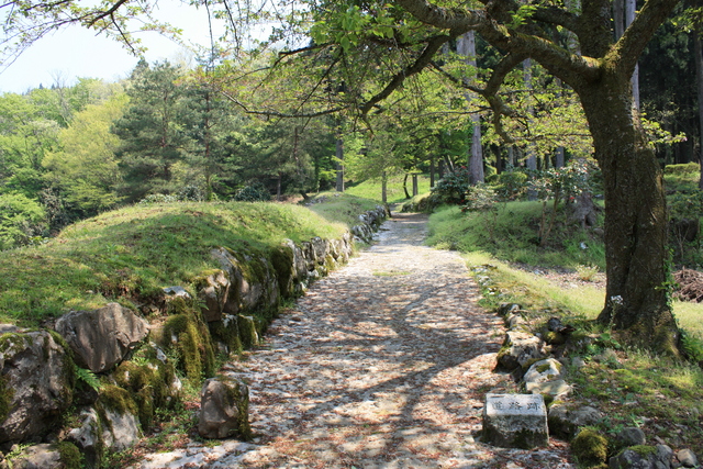 特別史跡・一乗谷朝倉氏遺跡・道路跡の写真の写真