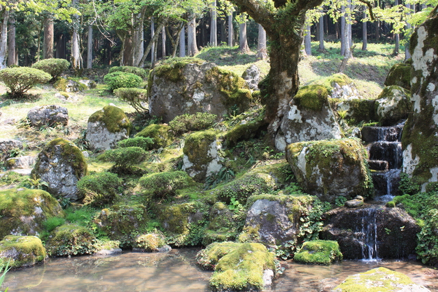 特別史跡・特別名勝・一乗谷朝倉氏庭園・諏訪館跡庭園１０の写真の写真