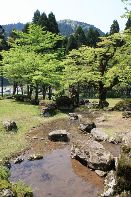 特別史跡・特別名勝・一乗谷朝倉氏庭園・諏訪館跡庭園２１の写真の写真