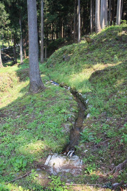 特別史跡・特別名勝・一乗谷朝倉氏庭園・諏訪館跡庭園２４の写真の写真
