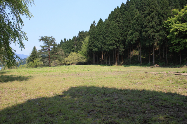 一乗谷５の写真の写真