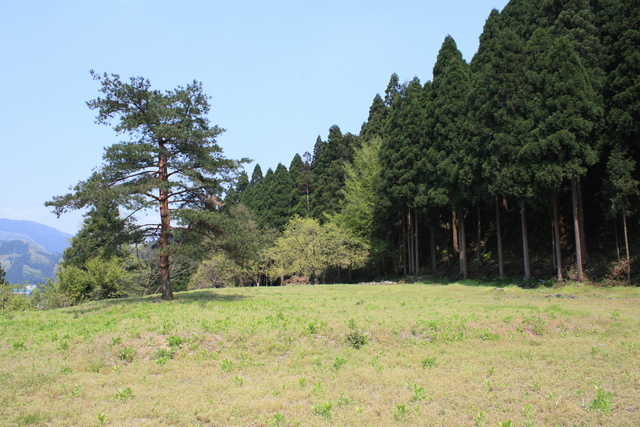 一乗谷７の写真の写真