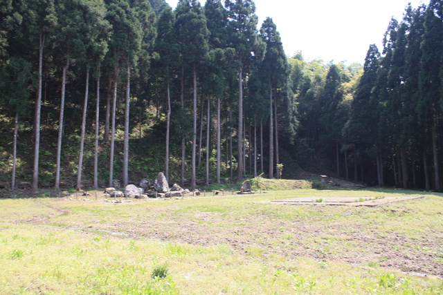 一乗谷８の写真の写真