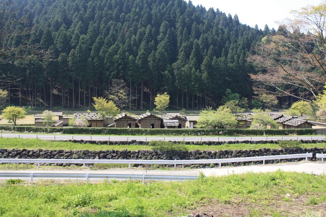 一乗谷１０の写真の写真