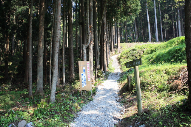 一乗谷城１の写真の写真