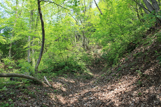 一乗谷城２の写真の写真