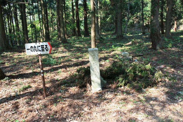 一乗谷城・本丸跡１の写真の写真