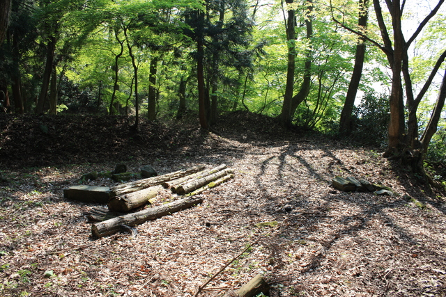 一乗谷城・本丸跡２の写真の写真