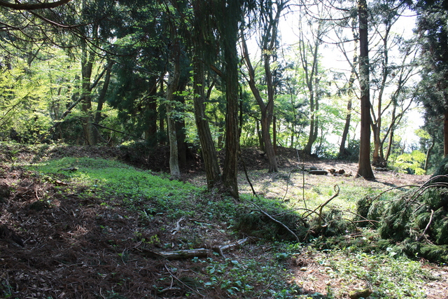 一乗谷城・一の丸１の写真の写真