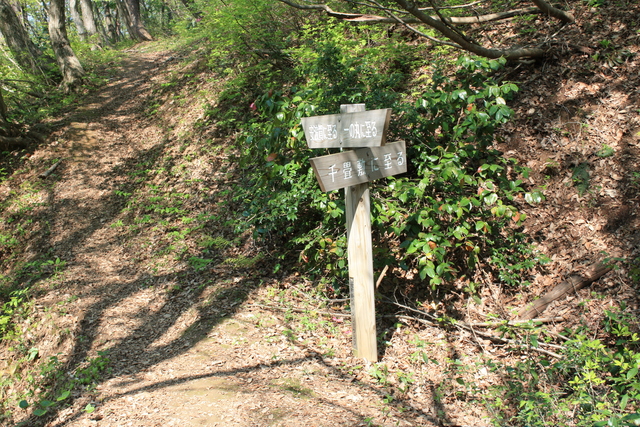 一乗谷城４の写真の写真