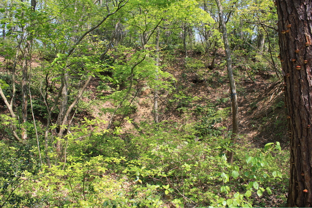 一乗谷城６の写真の写真