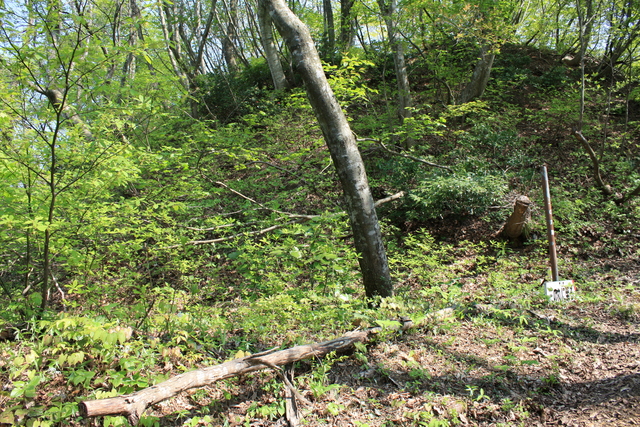 一乗谷城８の写真の写真