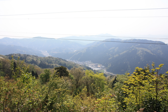 一乗谷城・頂上からの眺め１の写真の写真