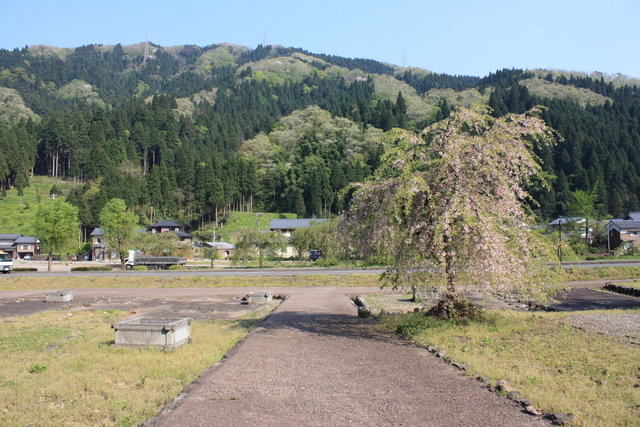 特別史跡・一乗谷朝倉氏遺跡・平面復元地区９の写真の写真