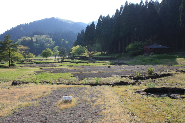 特別史跡・一乗谷朝倉氏遺跡・平面復元地区２３の写真の写真