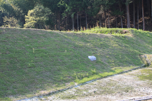 特別史跡・一乗谷朝倉氏遺跡・建物跡９の写真の写真