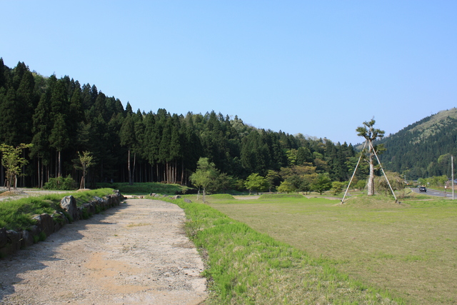 特別史跡・一乗谷朝倉氏遺跡・建物跡１２の写真の写真