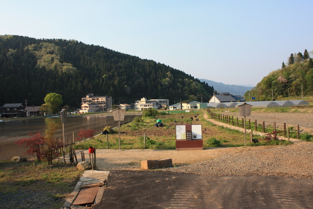 一乗谷・富田勢源の道場跡２の写真の写真