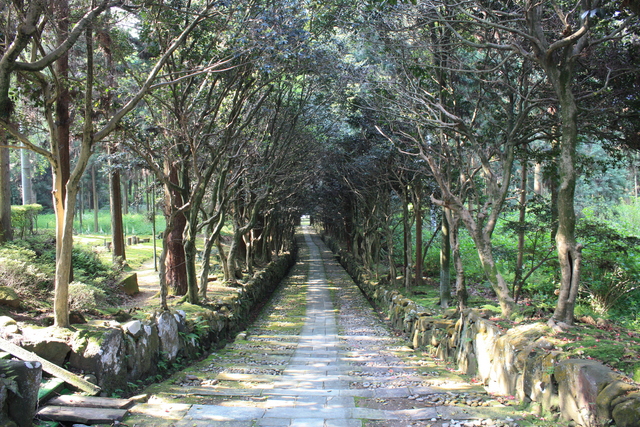 瀧谷寺・参道の写真の写真