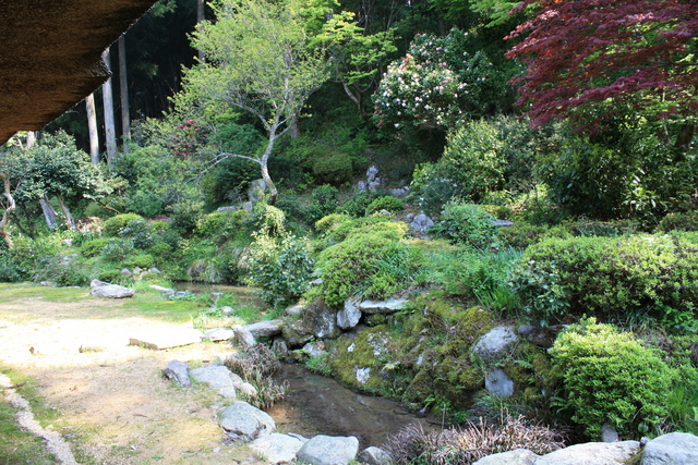 坪川家住宅・回遊式庭園の写真の写真