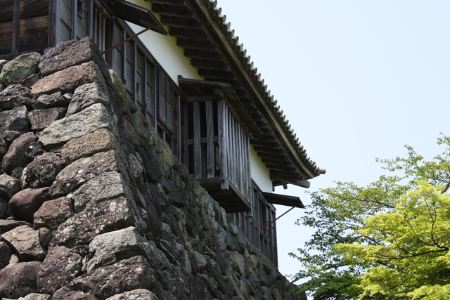 丸岡城１２の写真の写真