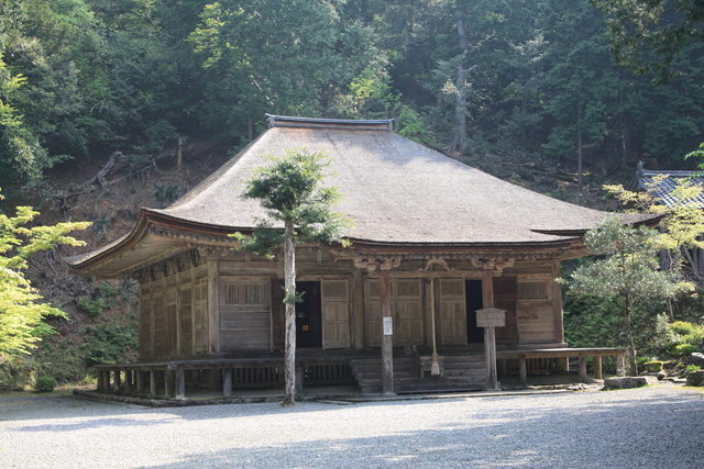 重要文化財・妙楽寺本堂の写真の写真