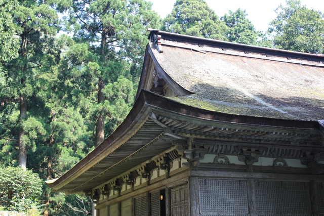 明通寺本堂・軒の写真の写真