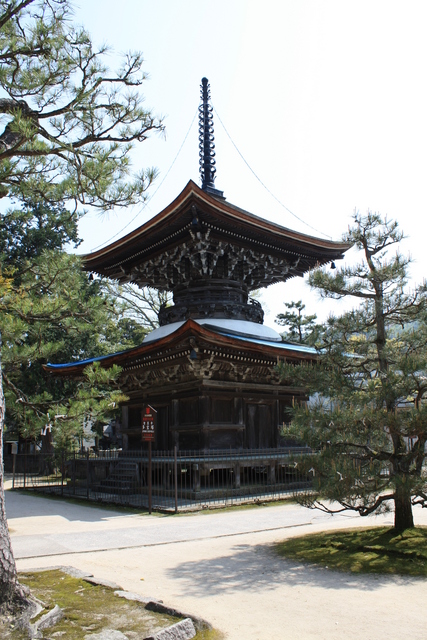 特別名勝・天橋立・智恩寺多宝塔の写真の写真