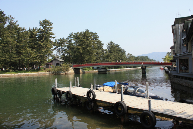 特別名勝・天橋立３の写真の写真