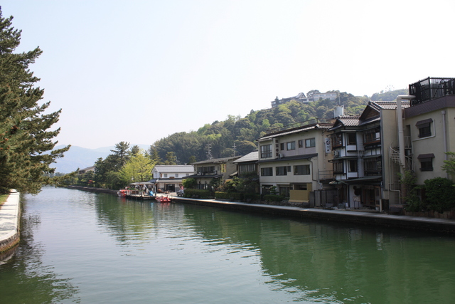 特別名勝・天橋立８の写真の写真