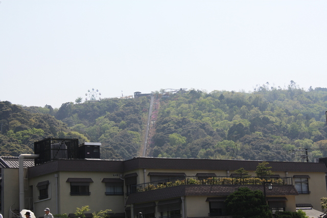 特別名勝・天橋立１０の写真の写真