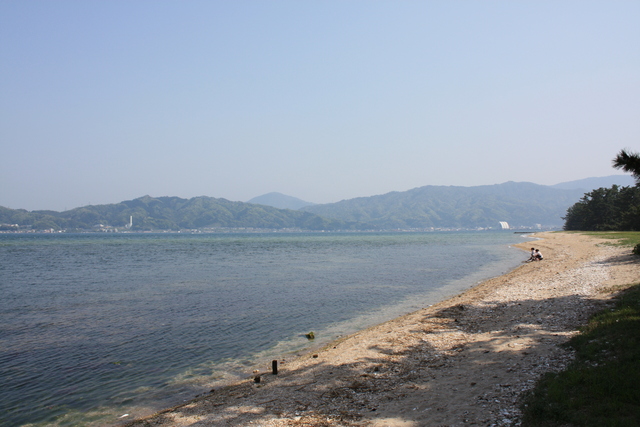 特別名勝・天橋立１３の写真の写真