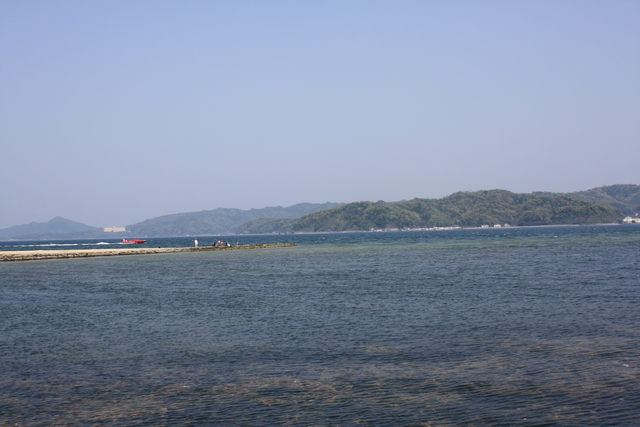 特別名勝・天橋立１４の写真の写真