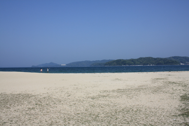 特別名勝・天橋立２２の写真の写真