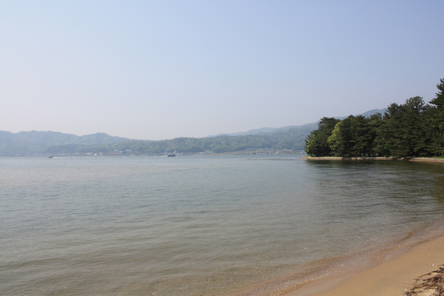 特別名勝・天橋立２７の写真の写真