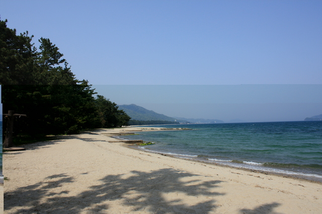 特別名勝・天橋立３１の写真の写真