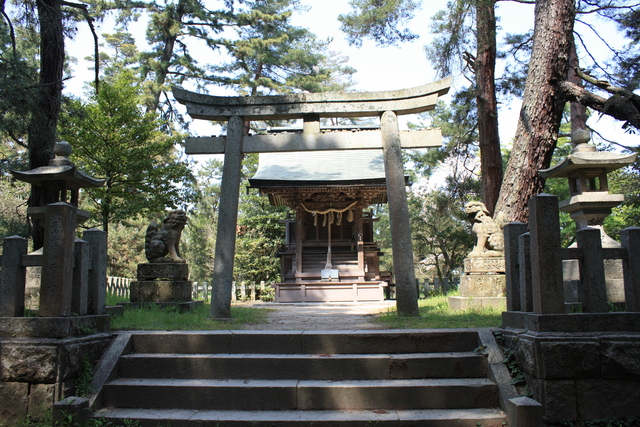 特別名勝・天橋立・天橋立神社鳥居の写真の写真