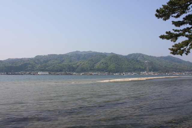 特別名勝・天橋立４５の写真の写真