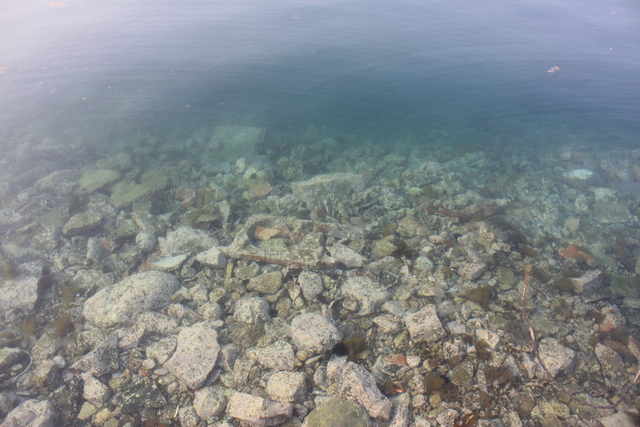 重要伝統的建造物群保存地区・伊根町伊根浦４５の写真の写真