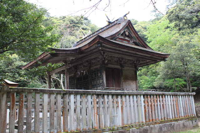 重要文化財・樗谿神社・本殿の写真の写真