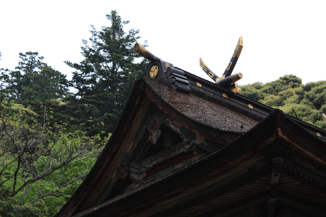 樗谿神社・本殿・屋根の写真の写真