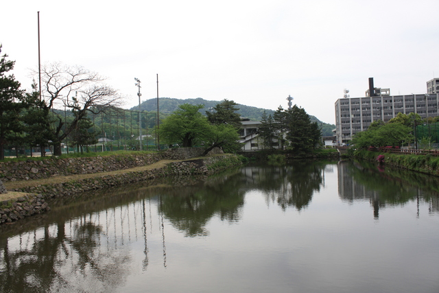 鳥取城跡・堀４の写真の写真