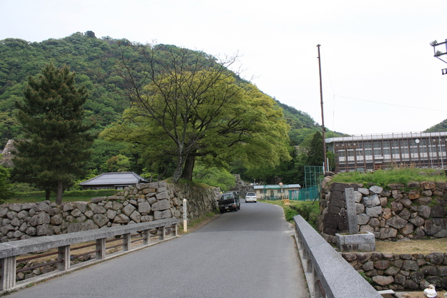 鳥取城跡・堀６の写真の写真