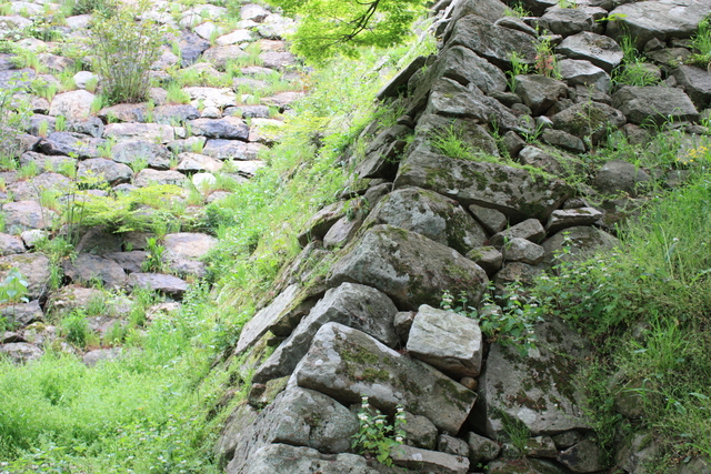 鳥取城跡３の写真の写真