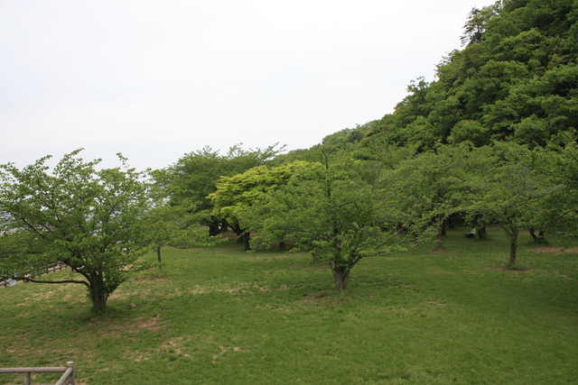 鳥取城跡１２の写真の写真