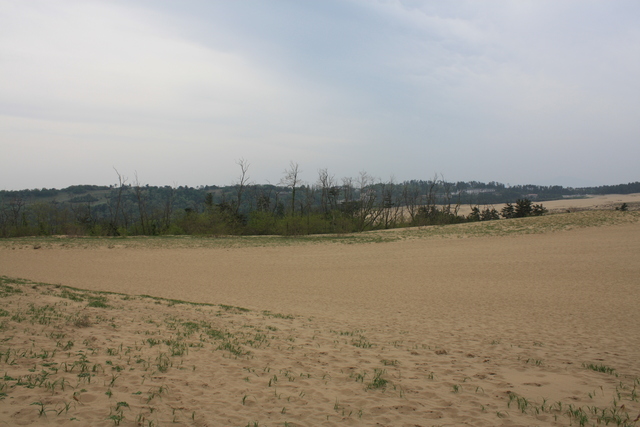 山陰海岸国立公園・天然記念物・鳥取砂丘６の写真の写真